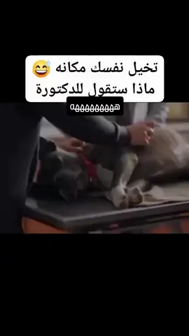 #مشاهير_تيك_توك_مشاهير_العرب🌺💜 #الشعب_الصيني_ماله_حل😂😂 #😂😂😂 #اللهم_صلي_على_نبينا_محمد 