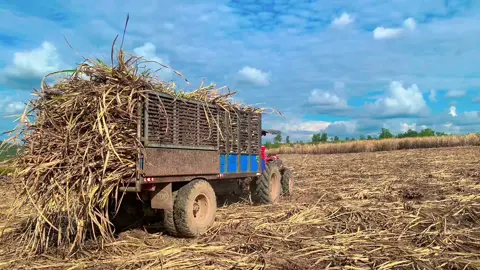 Đêm Tết qua đây 🤣