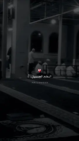 الصبر الجميل #كلام_جميل  #يوم_الجمعه #ليلة_الجمعة  #salmo609 #صلي_علي_النبي 