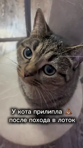 Убирай ,что смотришь 🤣