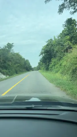 Lưng đèo sương phủ mờ xa em đi chợ sớm áo hoa rực hồng …!!!#xuhuong #quynhhuong 