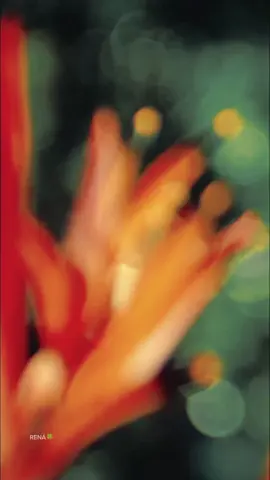 #nature #scenery #fpy #foryou 