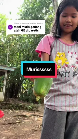 Membalas @Nadira Azahra  kalo gedang asak mh cocokna dibikin es buah🤭👍 #ngerujak #sambalterasi #terasimerah #nengdeviiiiii 