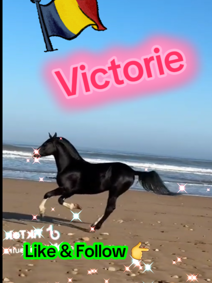 #Romania #demnitate #credinta #libertate #victorie 