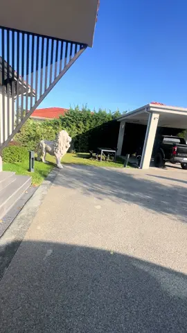 #Linktree #Beacons #الشعب_الصيني_ماله_حل #الشعب_الصيني_ماله_حل😂😂😂 #سوريا 