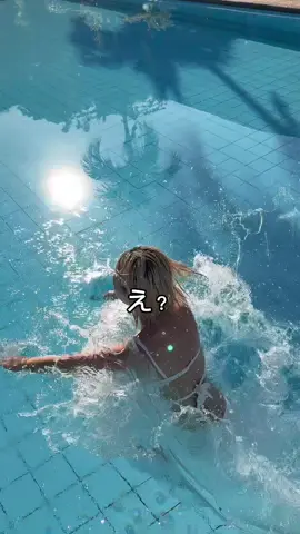 最近投稿無かったのは坂口カメラ離れたあんずちゃんを追いかけてセブに来ていたからです @はまのあんず 