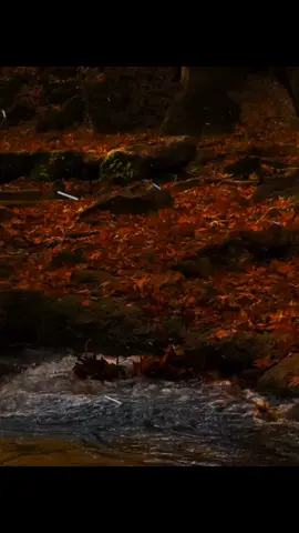 GELMEDİN 🎵😞👋 #abdullayev021 #mahnılar #gelmedin #keşfetdeyiz 