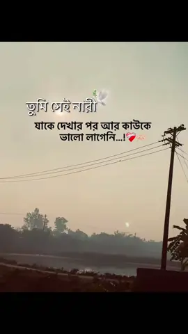 #tiktok #tiktok #tiktok #tiktok #tiktok @N🥰.S Nazmul 🥰 