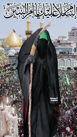 لطميات استشهاد السيدة ام البنين عليها السلام💔🥺#مرتضى_حرب#استشهاد_ام_البنين_١٣_جمادى_الثاني #capcut#ام_البنين #اكسبلورexplore 