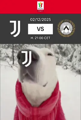 Good morning guys #matchday #meme #dogsoftiktok #juventus (original video:  @MisterMainer ) 