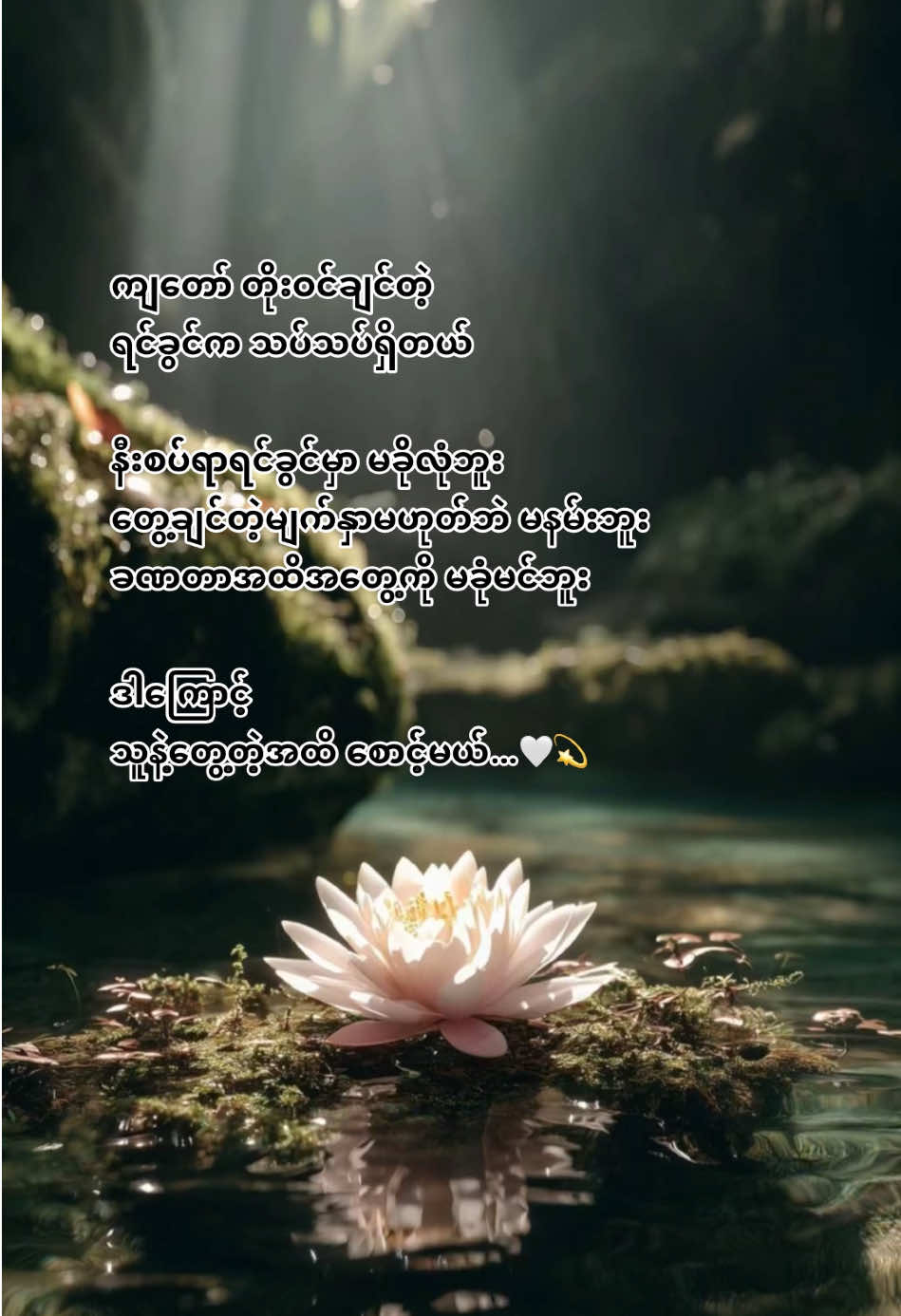 ကိုယ်မင်းကိုစောင့်နေမယ် #ကိုယ် #မင်းကို #မင်းကိုသိစေချင်တယ်🙂 #ဒါလေးတော့fypပေါ်ရောက်ပါကွာ #flypシ 