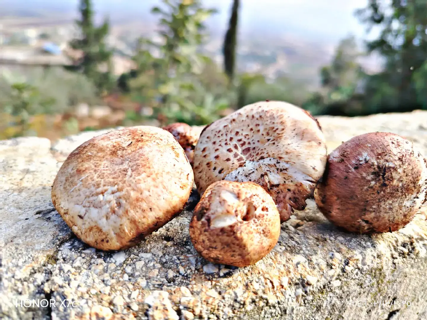 يلي بدو يوصي 🤣💔#لوين_وصل_هاد_الفيديو #مالي_خلق_احط_هاشتاقات🧢 