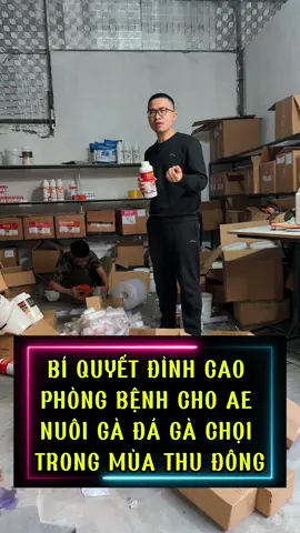 Ae đã biết bí quyết đỉnh cao phòng bệnh này chưa ae #bệnhgachoi #gà_chọi_việt_nam 