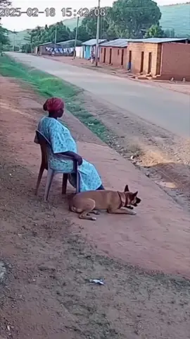 Animals have a sixth sense! Dog saves woman! #dog #savelives 