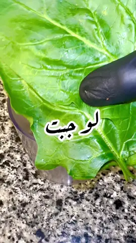 اسهل بديل للخبز بدون دقيق 😱😱 #هيلثي #drfitness #fitnesslam 