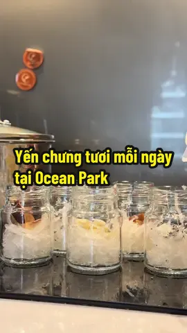 Luỵ cái bài tết này quá 😚 Yến chưng tươi - Yến Mẹ Cam tại Ocean Park  Mix vị theo yêu cầu của khắt 🥰 #yenmecam #yenchungnonghanoi #yenchungtuoi #yenchungsan #viral 