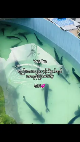 lo ny dr yee zar lyy pat🙄💕#fypppppppppppppppppppppp#tik_tok#viwes 