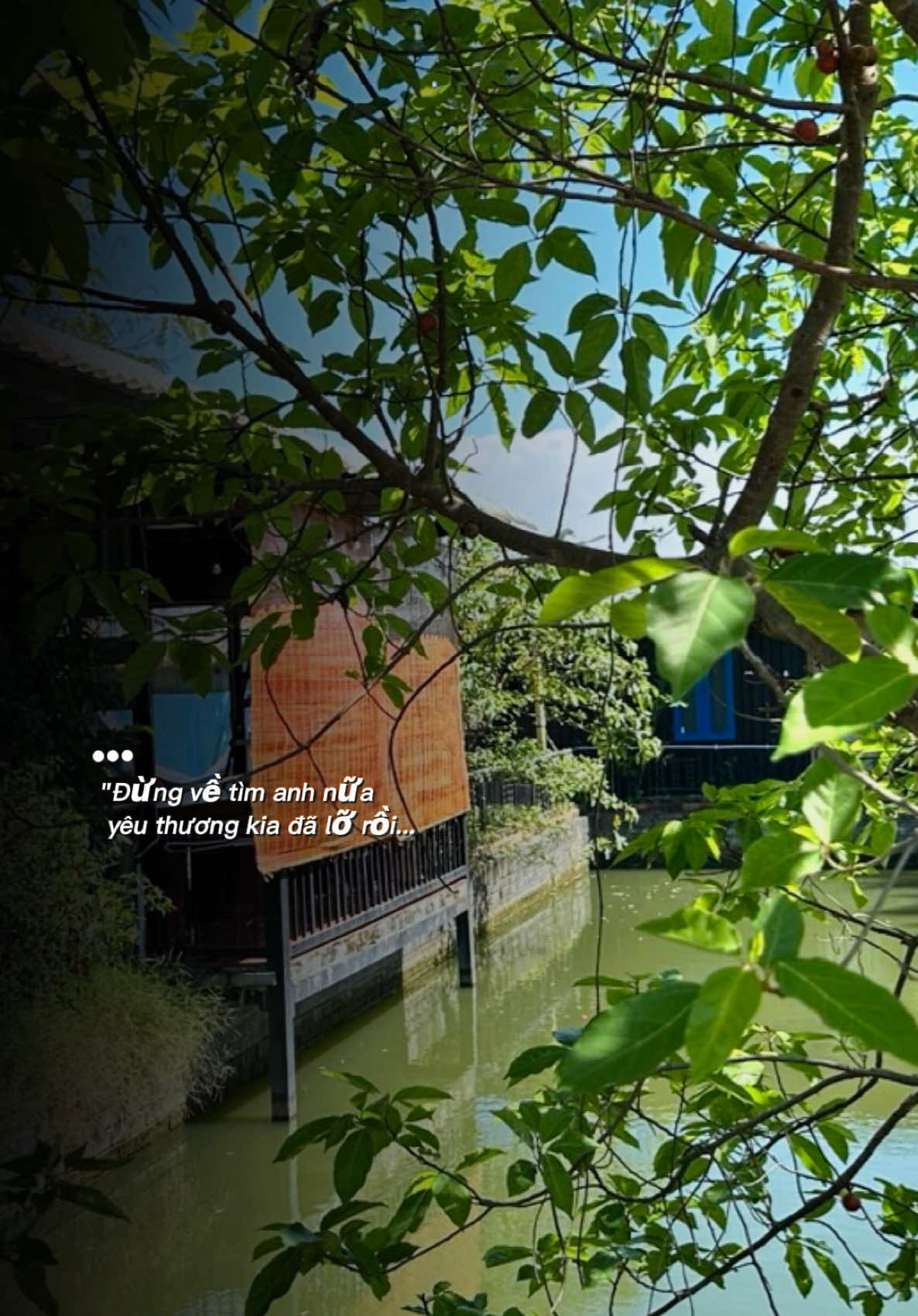 Yêu thương kia đã lỡ rồi…