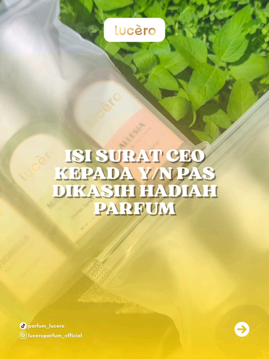Kebiasaan banget pak ceo kasih hadiah ke y/n tapi isi suratnya kok ... #parfumviral #parfum #luceroparfum #viral #fyp 