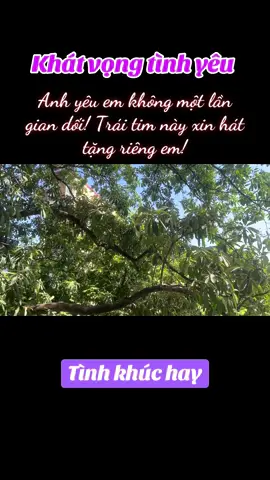 Khát vọng tình yêu - Nhạc trữ tình #xuhuongtiktok2025 #khatvongtinhyeu 