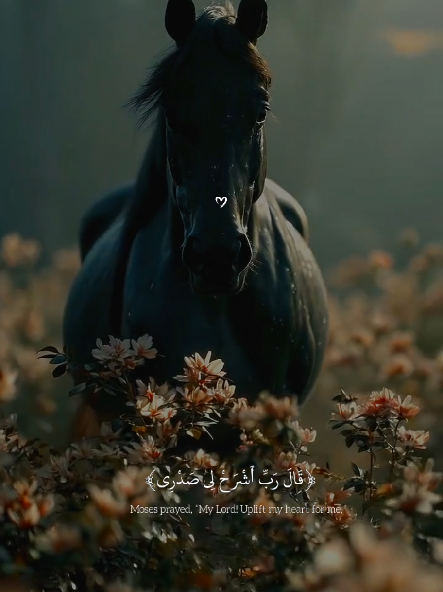 تلاوه جميله ومؤثر ل القارئ عبدالله احمد شعبان 🎧❤️‍🩹😴  #قران_كريم #quran #fyp #عبدالله_احمد_شعبان #quran_alkarim 