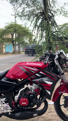 🤲🏻🤲🏻 #ninjarr #ninja150 #ninjass #ninjarroldgen4 