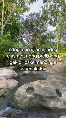 FOMO#fyp#konten#mancing#katakata#promomakanharian 