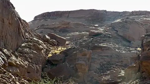 #اكسبلور #ترند_تيك_توك #هشتاج #مناظر_طبيعيه #سبحان_الله_وبحمده_سبحان_الله_العظيم 