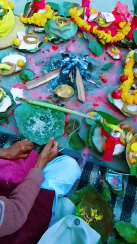 #creatorsearchinsights #viralvideo #foryoupage #ghr puja🤗🤗🤗