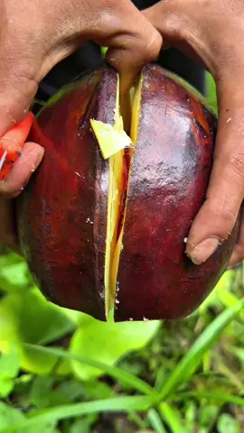 big banana 🍌 #fypシ゚ #real #video 