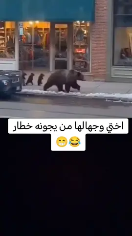 #الشعب_الصيني_ماله_حل😂😂 #العراق 