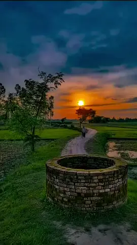 هجوم تنين الكومودو على الماعز #تنين_الكومودو #trend #tiktok #viralvideos.