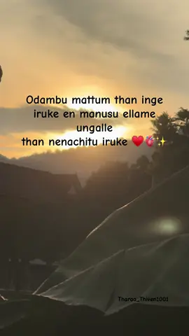 Dec for My Husband Shellow ♥️🧿✨#fypシ゚ #repostmyvideo #sharemyvideos #likemyvideos #170724👑 