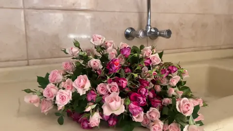 🌬️.#explore #fyp 