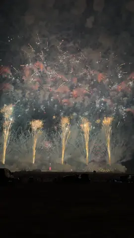 🇦🇪🤍#ابوظبي #fireworks #🇦🇪#foryoupage #54 