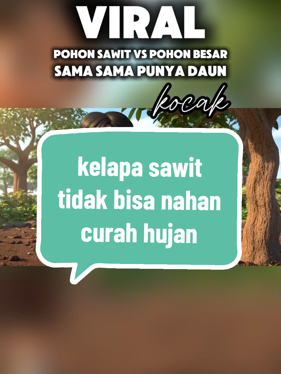 kelapa sawit tidak bisa nahan curah hujan walupun sama sama punya daun p PAHAM..!!  #viral #sawit 