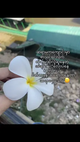သိမှမသိဘဲ😞 #fypシ゚#foryoupage#2010#viewsproblem#fyppppppppppppppppp 