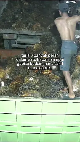 jangan liat sampai akhir 🥀#muatsawit #sawit #jambi #rampsawit 