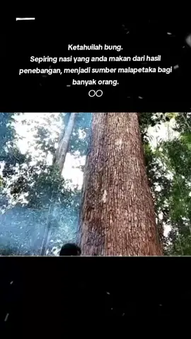 Melihat bencana di sumatera, Bolehlah air datangnya dari hujan, tapi gelondongan kayu tidak mungkin datang dari awan. Kalau bkn dari gergaji2 yg disebabkan oleh tangan2 RAKUS manusia. #savehutanindonesia