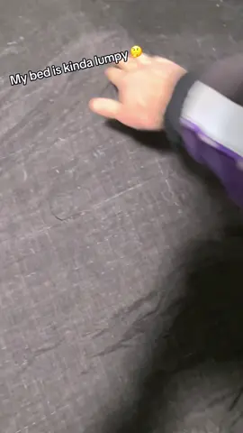 Take part in a game of hide-and-seek with cats#cat #cats #catslovers #catsoftiktok #fyp 