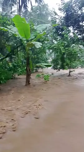 #fypシ゚ #sungaimanggisanbanjir😱