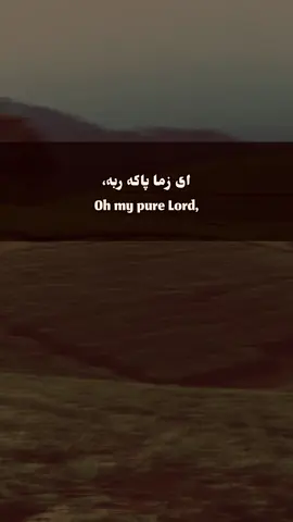 Oh my pure Lord, ♥️🕊️  #creatorsearchinsights #foryou #viral #sookon_1 #یاالله 
