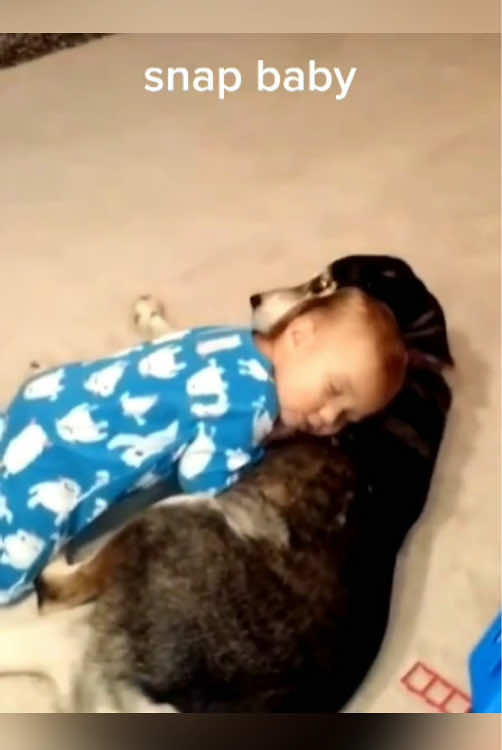 Best friends 🥰🥰🥰#dog #baby #Love #friends #cutebaby #babylove #lovestory #dogsoftiktok #babiesoftiktok #foryou #usa🇺🇸 