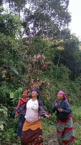 पिरचिन्ता  झारु मार्🤟🤟🤟🤣#बाख्रागोठालोसमुह #योगिता #तनहुँ #fyp #जस्पुर @Gyanu Gurung @yamuna4561 