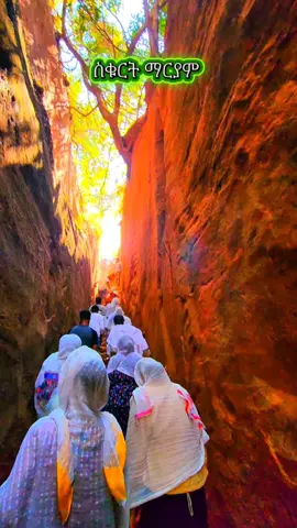 #ስቁርት_ማርያም_ዓብይ_ዓዲ #ብርሃነይ_ኢኺ_መራሒት_መንገደይ #tigraytiktok🇻🇳🇻🇳tigraytiktok #foryoupage #viraltiktok 