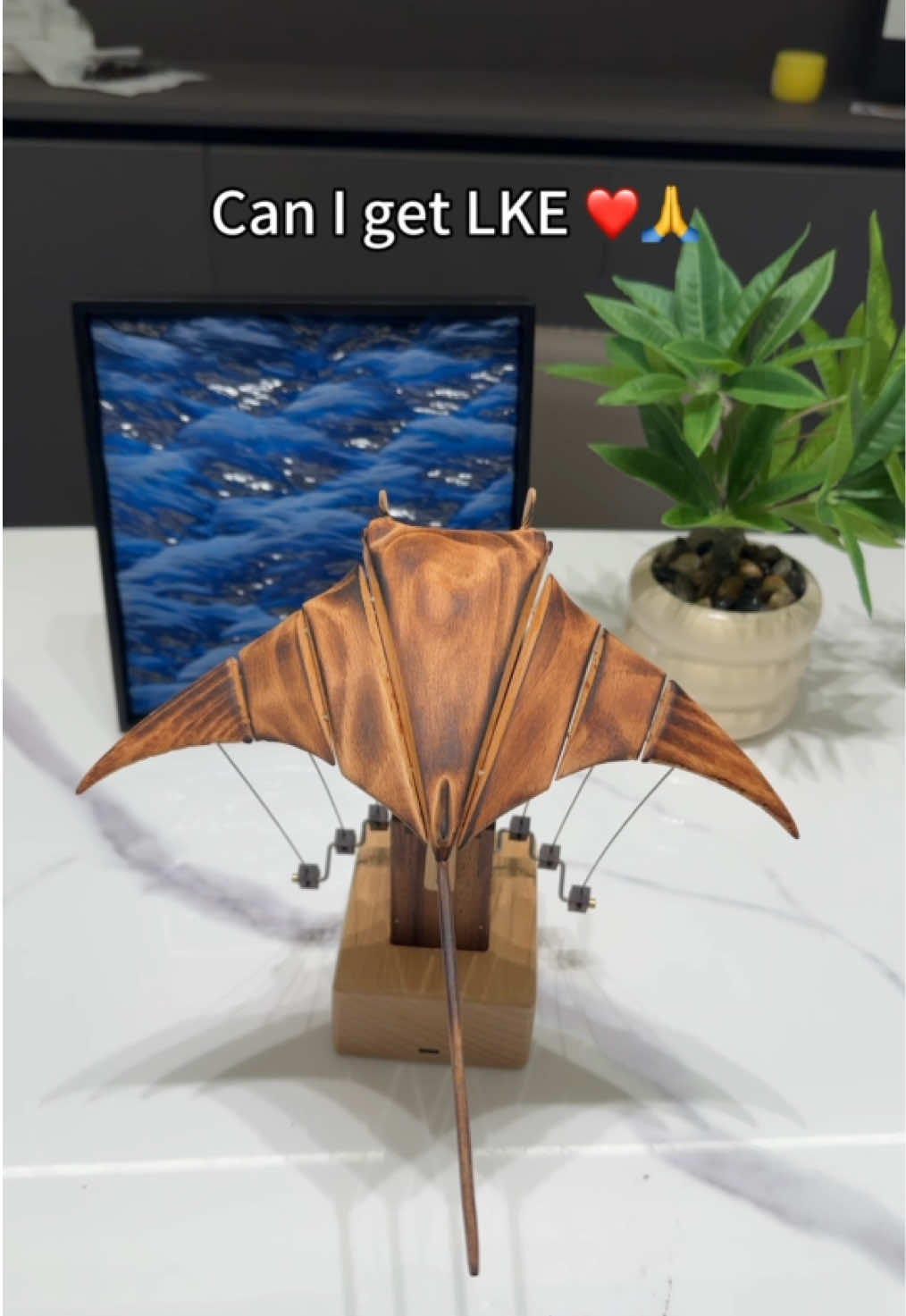 Handmade motion, born from the sea. This wooden automaton is handcrafted from North American walnut and European beech - two woods chosen for their warmth, strength, and natural beauty. Inspired by the quiet grace of ocean life, each piece turns movement into poetry, bringing calm and a touch of the sea to any space. ##handmadegifts #roomdecor #oceanlover #mantaray #woodart 