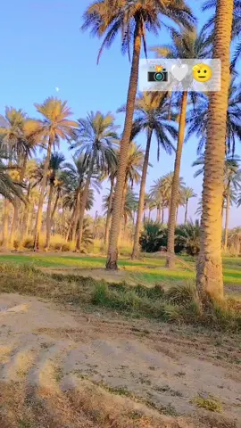 تصويري خرافي 📸🤍🫡#شعب_الصيني_ماله_حل😂😂 #تصويري_احترافي_الاجواء👌🏻🕊😴 #Abu_Jood #عباراتكم_الفخمه📿📌 #مشاهير_تيك_توك 