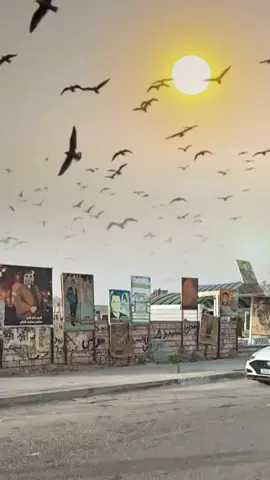 #สตอรี่ความรู้สึก #CapCut #fyp 