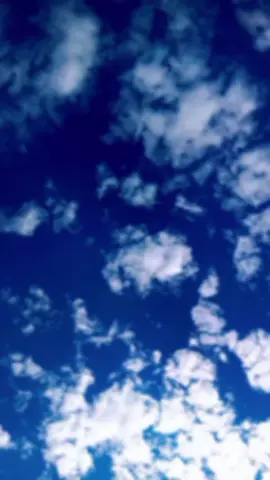 #يوميه_احضرلك_ورد_يذبل_محنه_وماترد🥀 #الحزين💔 