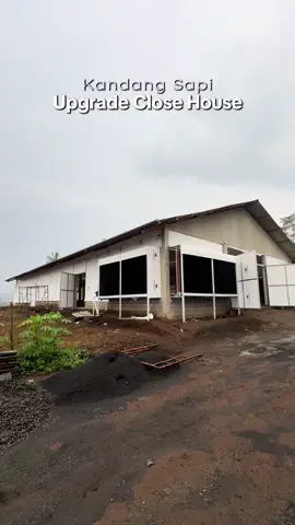 Kandang Sapi upgrade untuk kesetabilan suhu supaya hasil susunya lebih bagus  #peternakhebatnusantara #kandangclosehouse #kandangsapi #sapiperah #peternaksapiindonesia @Peternak Hebat Nusantara @agungwibowo 